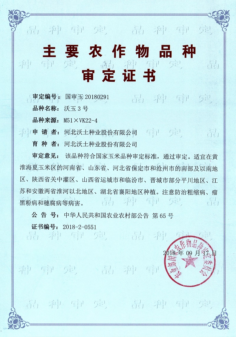 沃玉3号审定证书