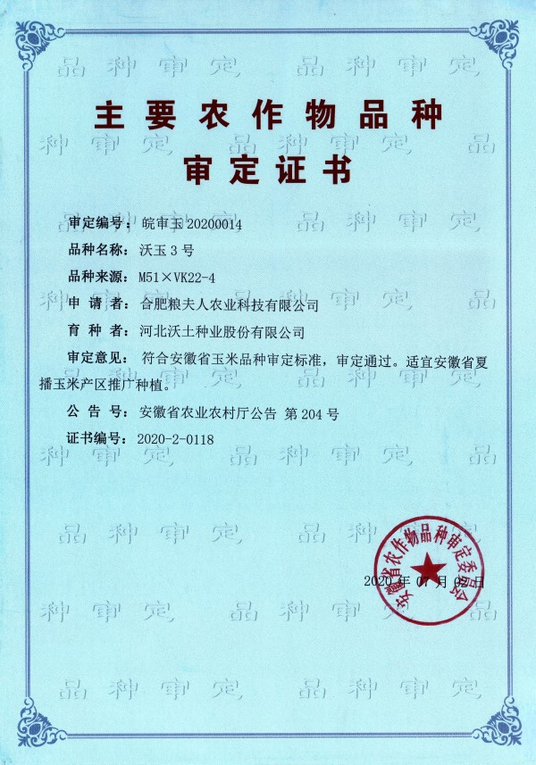 沃玉3号审定证书