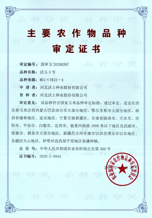 沃玉3号审定证书